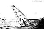 windsurfer